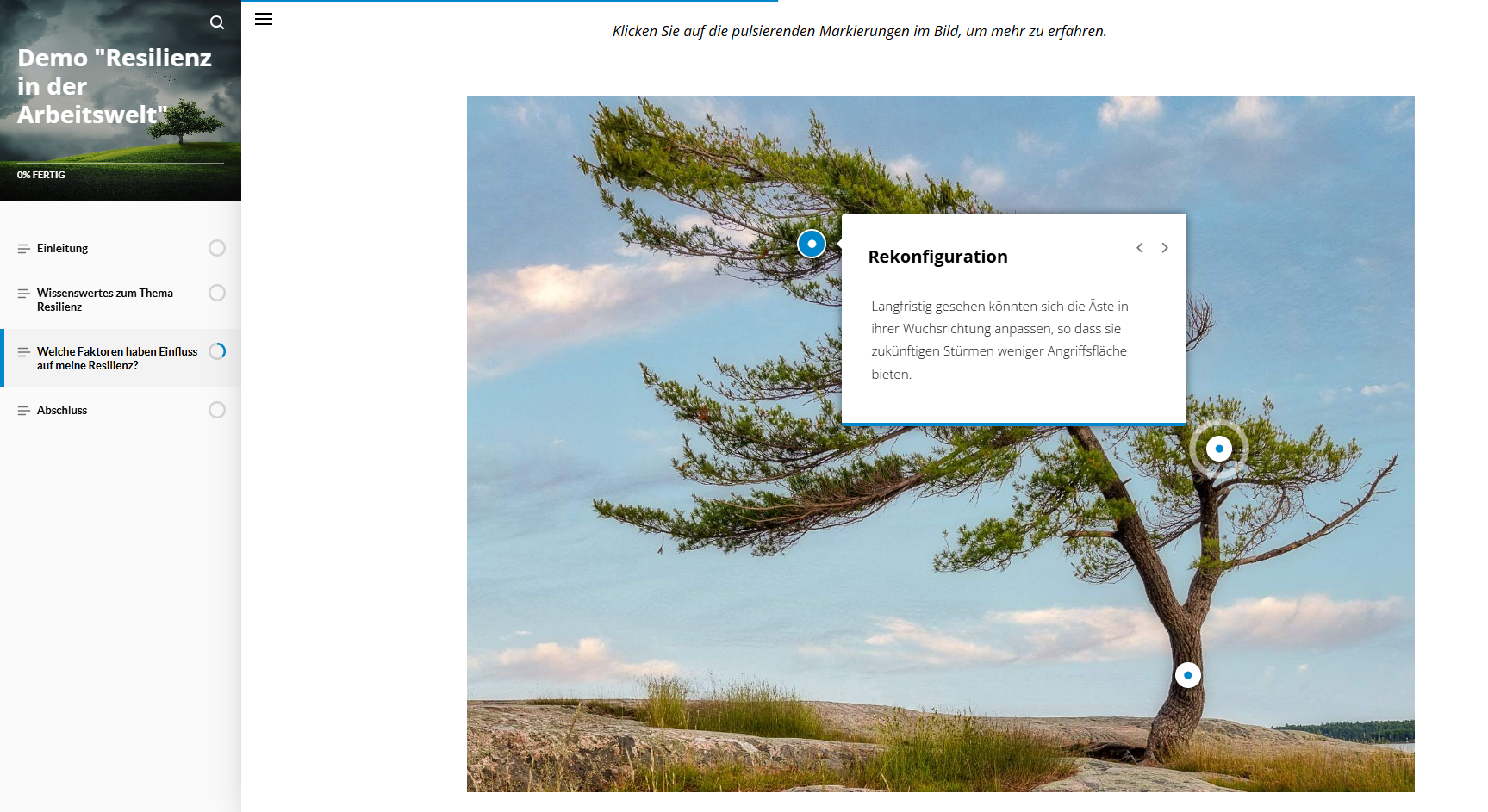 Auszug WBT Resilienz, ias-Gruppe